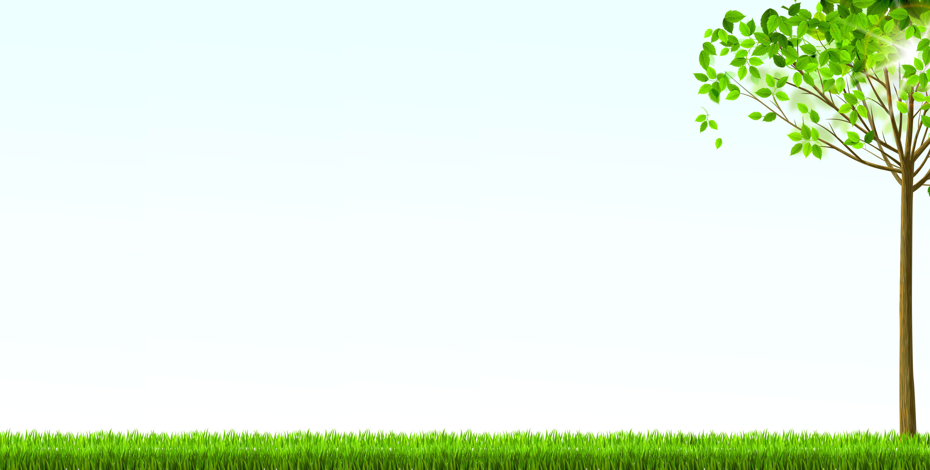 エヴリヴァーハーブティーの背景